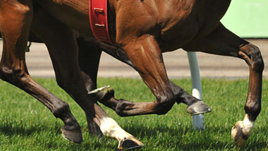 Zia Park Live Racing Zia Park Live Racing