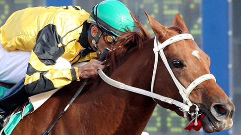 Horse Racing | Zia Park Casino Hotel & Racetrack