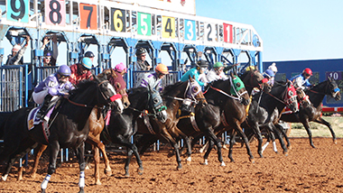 Zia Park Live Racing Zia Park Live Racing