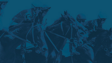 Try Your Luck Horses