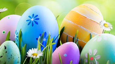 Egg Hunt