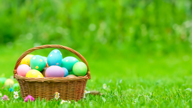 Easter basket full of eggs. On the grass